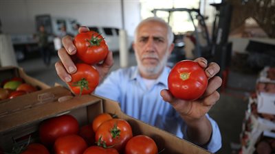 ‏إعلام عبري: الأردن يرفض استئناف تصدير الطماطم إلى إسرائيل