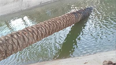 بعد نشر القاهرة 24.. إزالة جذع نخلة يعرض حياة التلاميذ للخطر حال عبوره للمدرسة في قنا| صور