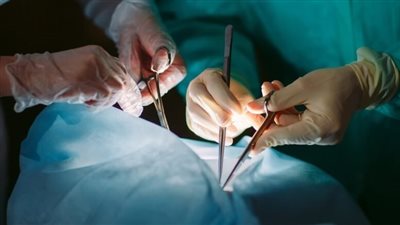 تنظيم عصابي يستقطب المواطنين للتأمين على أعضائهم وإتلافها مقابل الحصول على الأموال بسوهاج| بث مباشر 