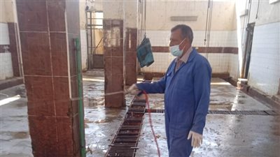 فحص 20 ألف و417 مواطنًا لمكافحة الأمراض المتوطنة بالمنوفية