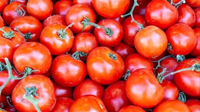 الطماطم رخصت.. أسعار الخضراوات والفاكهة اليوم الأحد 17 نوفمبر 2024