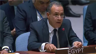 وزير الخارجية : مصر لن تتوقف عن بذل المساعي لوقف التصعيد غير المبرر في لبنان