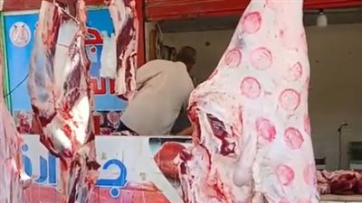 تبدأ بـ260 جنيها.. أسعار اللحوم الحمراء البلدي في مصر اليوم الخميس
