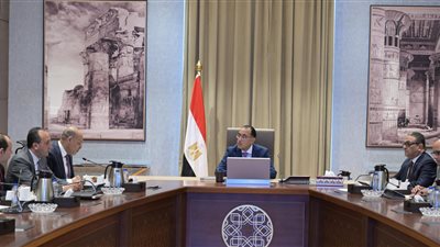 الحكومة تبحث تطوير المنظومة الإلكترونية للسلامة والصحة المهنية وتأمين بيئة العمل