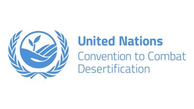 الأمم المتحدة: الملايين في نيجريا يعانون من الجوع بسبب نقص الإمدادات الغذائية  