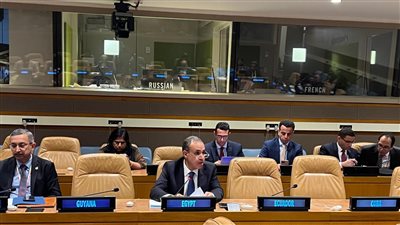 وزير الخارجية يشارك في اجتماع اللجنة الوزارية لدول عدم الانحياز بشأن فلسطين 