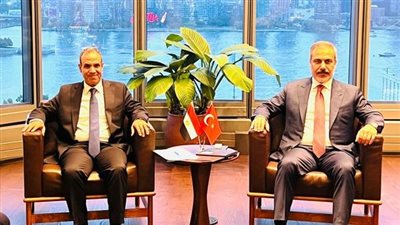 مصر وتركيا تؤكدان ضرورة وقف إطلاق النار فورًا في غزة ولبنان