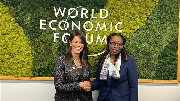 وزيرة التخطيط والتنمية