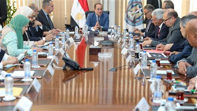 وزير المالية: طرف محايد لتقييم تنفيذ حزمة التسهيلات الضريبية مع مجتمع الأعمال 
