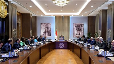 رئيس الوزراء يبحث توطين صناعة مكونات المُحللات الكهربائية مع وفد تحالف عالمي