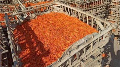 تُصدر لدول العالم.. افتتاح معرض النباتات الطبية والعطرية في الفيوم بمشاركة أكثر من 100 نوع| بث مباشر