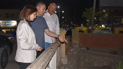 خلال جولة مفاجئة.. محافظ البحيرة تتابع مواجهة حرق قش الأرز والقضاء على السحابة السوداء