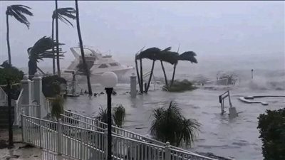 في أعقاب إعصار هيلين.. الصحة الأمريكية تخزن أدوية الحساسية بعد انتشار أسراب من الدبابير