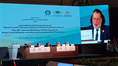 حسن عبد الله: مجلس المصارف العربية يناقش آليات جديدة للإقراض وتحسين الإنفاق