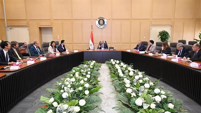 كامل الوزير يناقش مع سكاتك النرويجية توطين صناعة المحللات الكهربائية المستخدمة في توليد الهيدروجين الأخضر