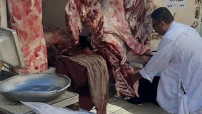 بتخفيضات 25%.. الزراعة تطلق 7 منافذ متنقلة لبيع منتجاتها بأسعار مخفضة بالقاهرة 