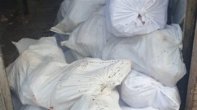 ضبط 27 طن لحوم ودواجن وكبدة فاسدة بالجيزة خلال سبتمبر الماضي