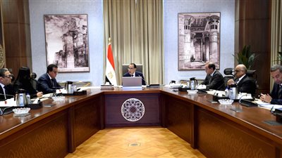 مدبولي: مهلة شهرين لتسوية أوضاع المستفيدين غير المستحقين لسيارات ذوي الإعاقة وسداد مستحقات الدولة