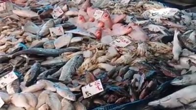 أسعار الأسماك اليوم الجمعة 22 نوفمبر 2024 في الأسواق