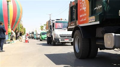 موكب سيارات محملة بالزهور في احتفالات الوادي الجديد بعيدها القومي |صور