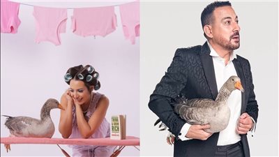 بـ وزّة وزعانف.. دياب وساندي يتصدران مؤشرات البحث والجمهور ينتظر أغنية موقف