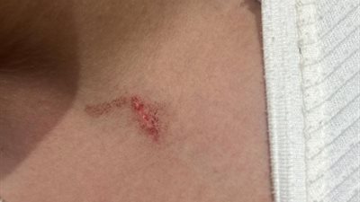 ولى أمر يقتحم مدرسة وايز بالشيخ زايد أثناء اليوم الدراسي ويعتدى على تلميذ