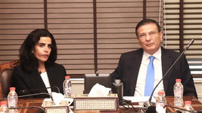 وزير الزراعة يبحث مع مجموعة الغانم الكويتية تعزير استثماراتها في مصر 