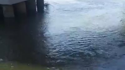 مصرع طالب غرقا في نهر النيل بالمنيا.. والإنقاذ النهري ينتشل الجثمان| بث مباشر