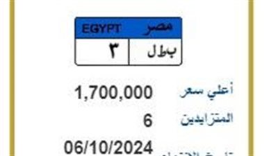 نور وسيد.. لوحات مرور مميزة في مصر بسعر يصل إلى 1.7 مليون جنيه