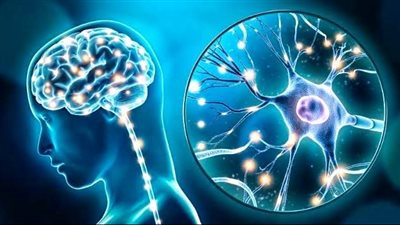 طرق الوقاية من خطر الإصابة بالأمراض التنكسية العصبية.. تعرف عليها