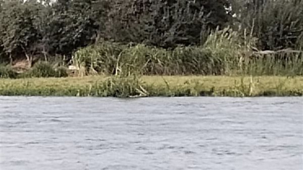 متابعة منسوب مياه