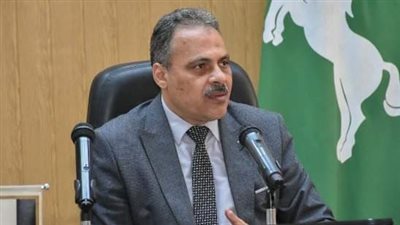 الجريدة الرسمية تنشر قرارًا بتقسيم المناطق للغرض السكني بمحافظة الشرقية