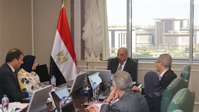 عصمت: إعادة هيكلة الشركة المصرية كمشغل مستقل لمنظومة نقل الكهرباء