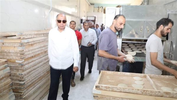 محافظ المنيا