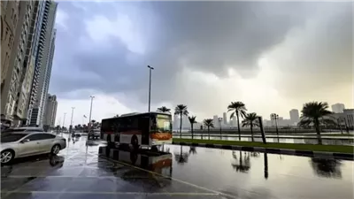 الطقس المتقلب يستمر في الإمارات.. غيوم وأمطار ورياح قوية بسبب منخفض جوي