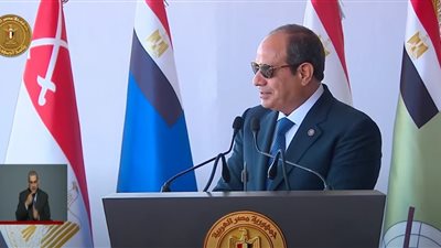 السيسي: نسعى لوقف حرب غزة وإطلاق سراح المحتجزين وإدخال المساعدات الإنسانية