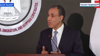 وزير الخارجية: عدم محاسبة إسرائيل بمثابة شيك على بياض للاستمرار في عدوانها