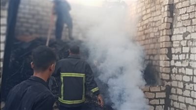 الحماية المدنية تسيطر على حريق بحظيرة مواشي في أسيوط | صور