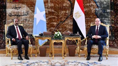الرئيس الصومالي يشيد بخبرة مصر في بناء المؤسسات.. ويؤكد: مقديشو شريكة قوية للقاهرة