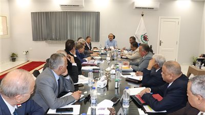 وزير قطاع الأعمال يستعرض أداء القابضة الكيماوية وشركاتها التابعة واستغلال الفرص الاستثمارية