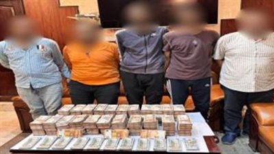 شقق سكنية وماكينات ري.. القبض 11 لصا بالإسكندرية والغربية 