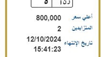 مزاد على لوحة مرور مميزة بمصر تحمل حروف اسم رنا 5 بسعر يلامس مليون جنيه