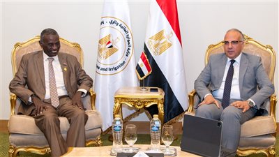 وزير الري: توافقنا مع السودان بملف مياه النيل.. والتنسيق في تشغيل السدود بالبلدين