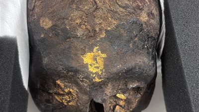 السياحة تسترد 3 قطع أثرية من ألمانيا وتسليمها للسفارة المصرية ببرلين