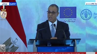 وزير الخارجية: مصر تحفظ لنفسها حق اتخاذ أي تدابير مشروعة للحفاظ على حقها في مياه النيل