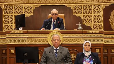 أبو شقة يفتتح الجلسة العامة لـ الشيوخ.. وحماة الوطن يخطر باسم رئيس هيئته البرلمانية