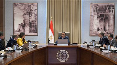 رئيس الوزراء يتابع موقف المرحلة الأولى من حياة كريمة واستعدادات المرحلة الثانية