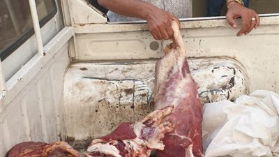 ضبط 7 أطنان لحوم ودواجن غير صالحة للاستهلاك الآدمي ومجهولة المصدر بالجيزة