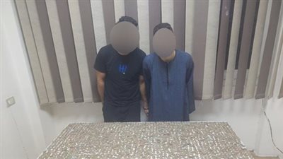 القبض على شخصين بحوزتهما 1945 عملة أثرية بالجيزة |صور