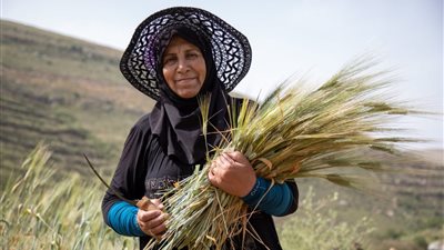 تقديرًا لدورها الحاسم.. الأمم المتحدة تحتفل بـ اليوم العالمي للمرأة الريفية